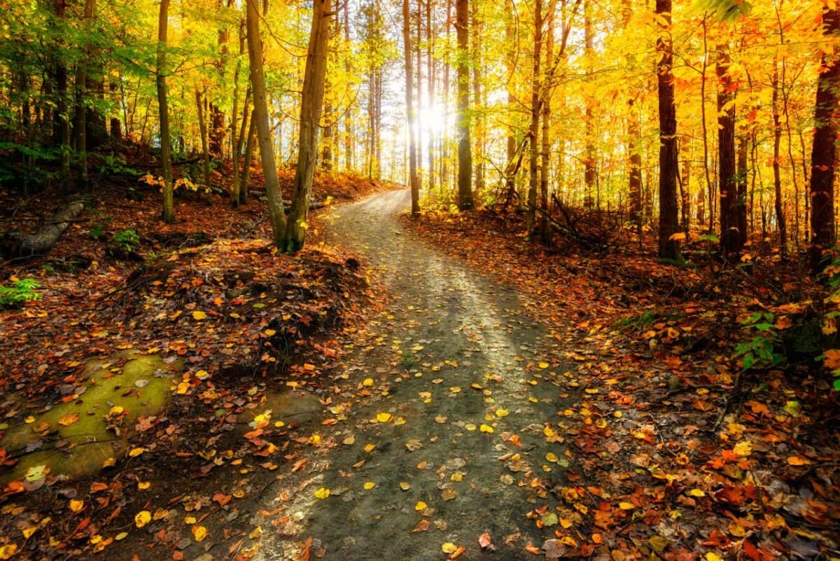 5 Ways to Spend Time Outside In The Fall